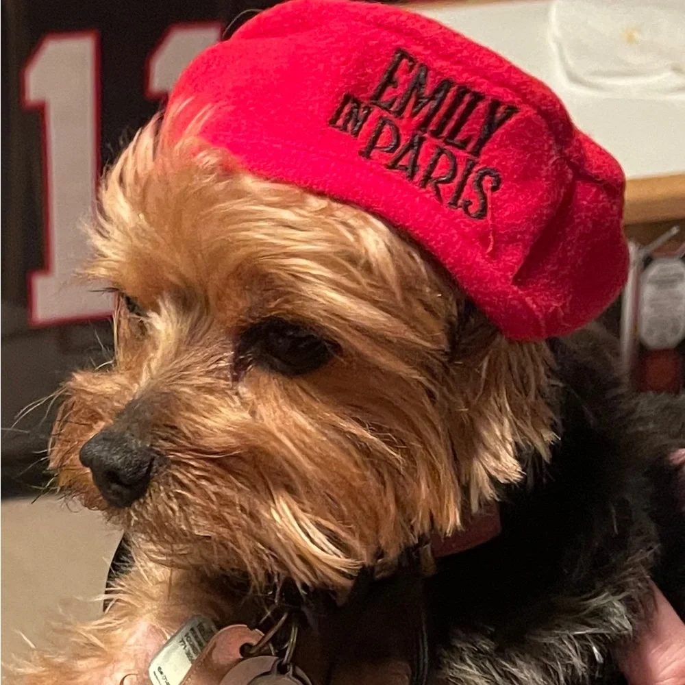 Emily in Paris Pet Beret - Official Netflix Promo NEW